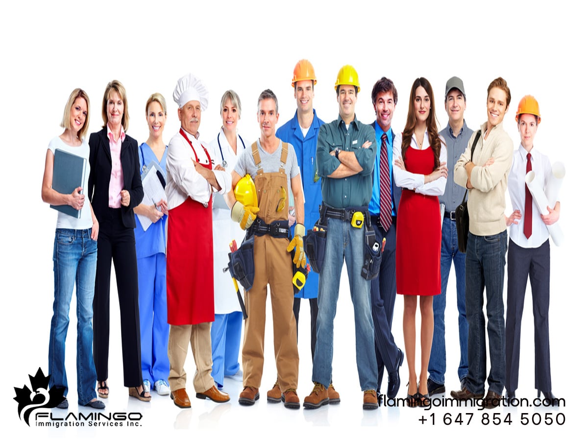 کار در کانادا و صدور ویزای کاری در کانادا-مهاجرت به کانادا